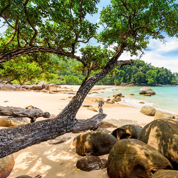 Thailand Tales: Bangkok, Chiang Mai & Khao Lak