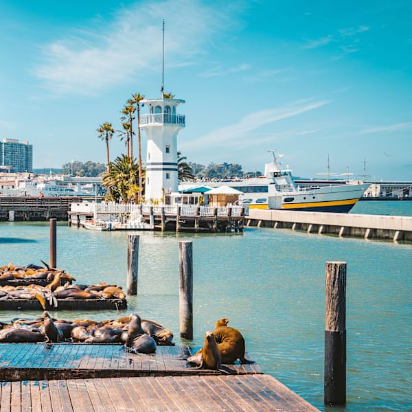 USA Roadtrip: Cruisin' from the Golden Gate to the Shore